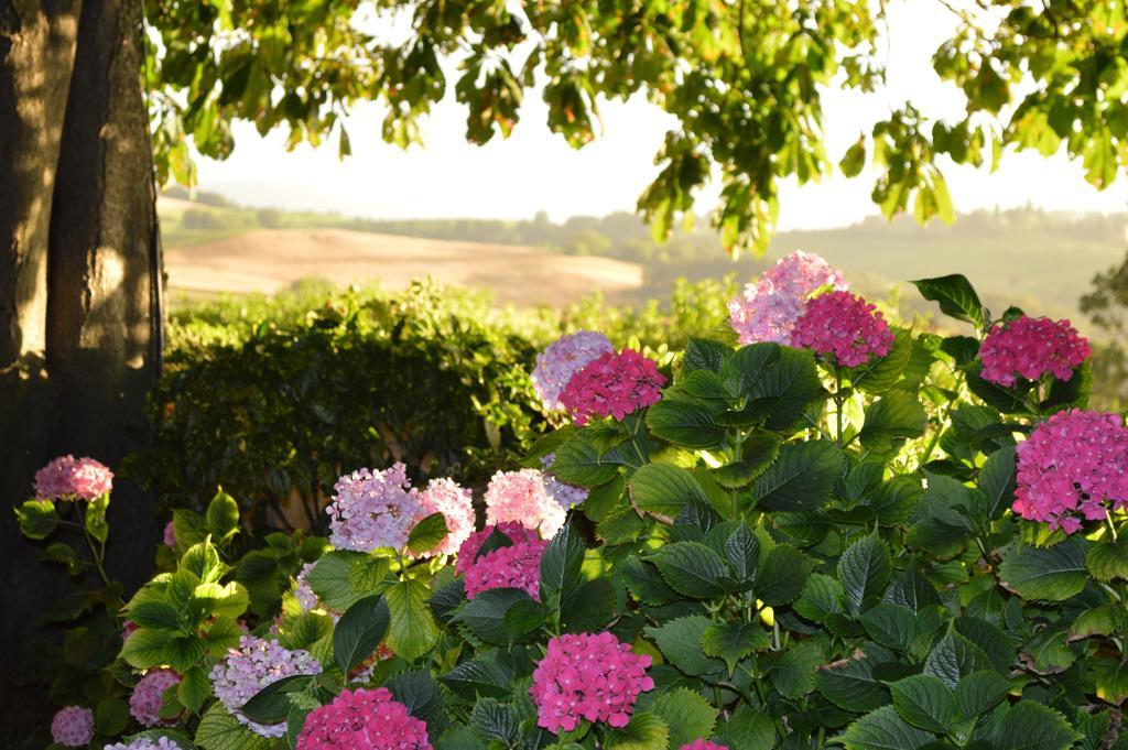 Agriturismo Cavazzone Regnano  Екстериор снимка